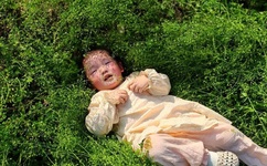 结衣波多野种子qvod